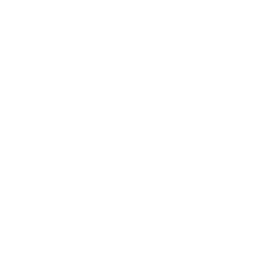 Bladud Flies